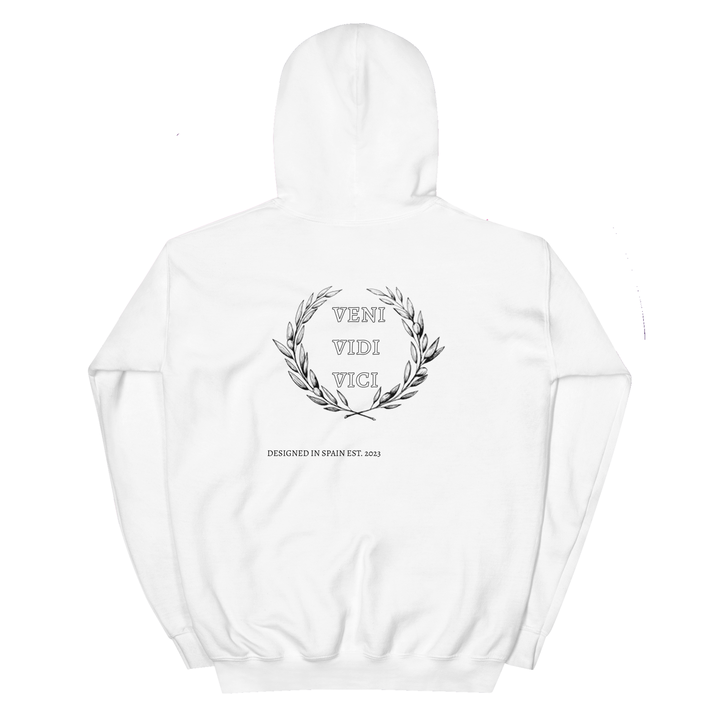 Original Veni Vidi Vici hoodie