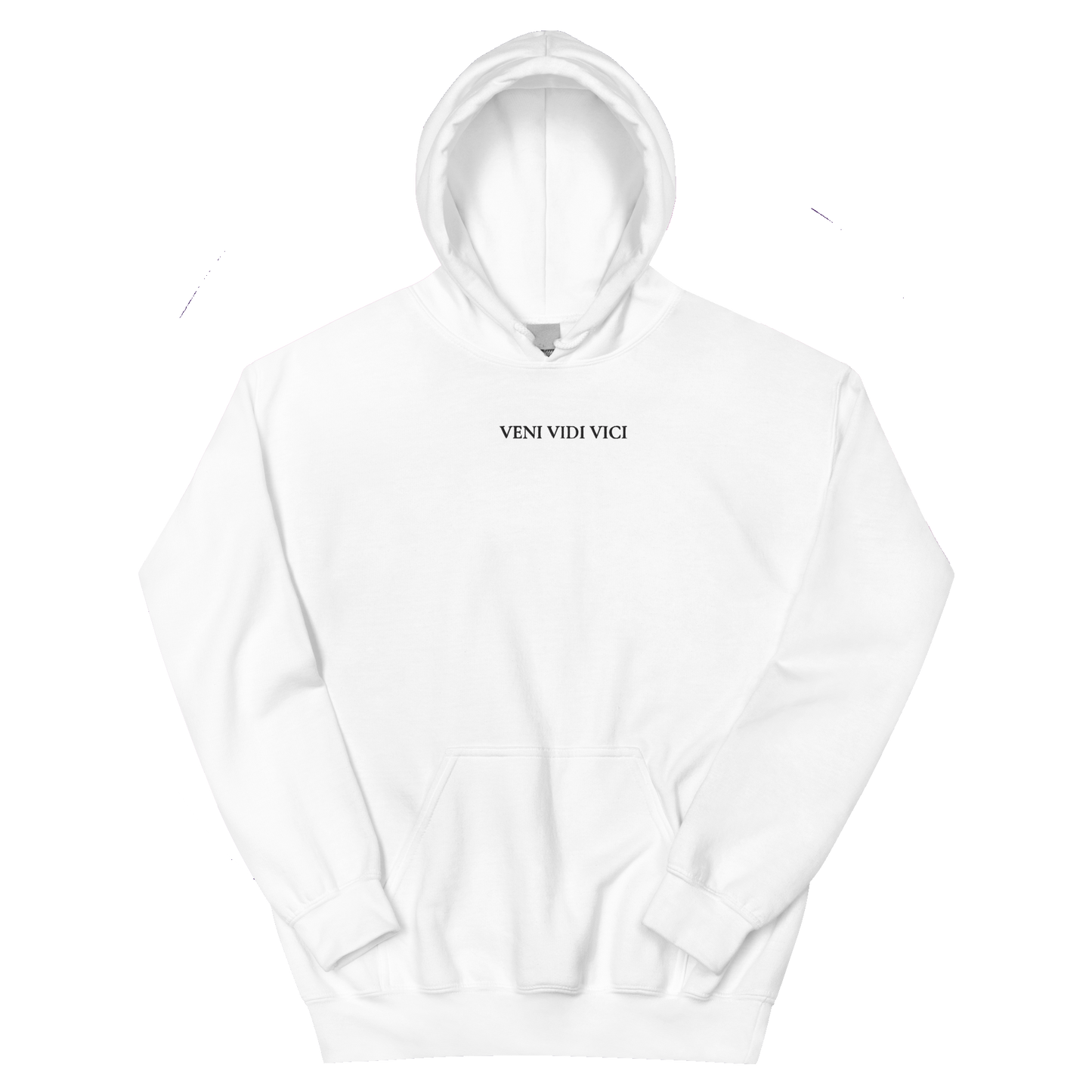 Original Veni Vidi Vici hoodie